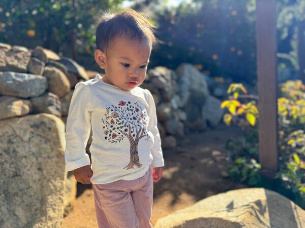 toddler in sunshine wearing long sleeve cream tee with tree and flower print and pink pants