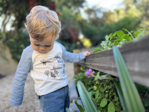 toddler in garden wearing raglan style long sleeve tee with yeti print