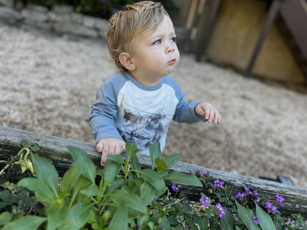 toddler in garden wearing raglan style long sleeve tee with yeti print