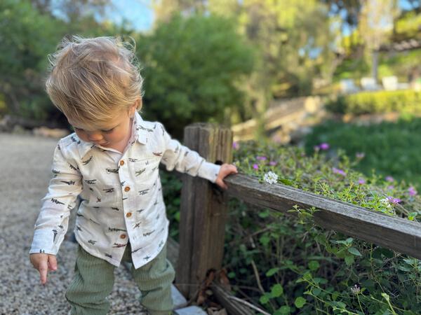 toddler in garden wearing airplane print long sleeved shirt buttons down the front and on cuffs